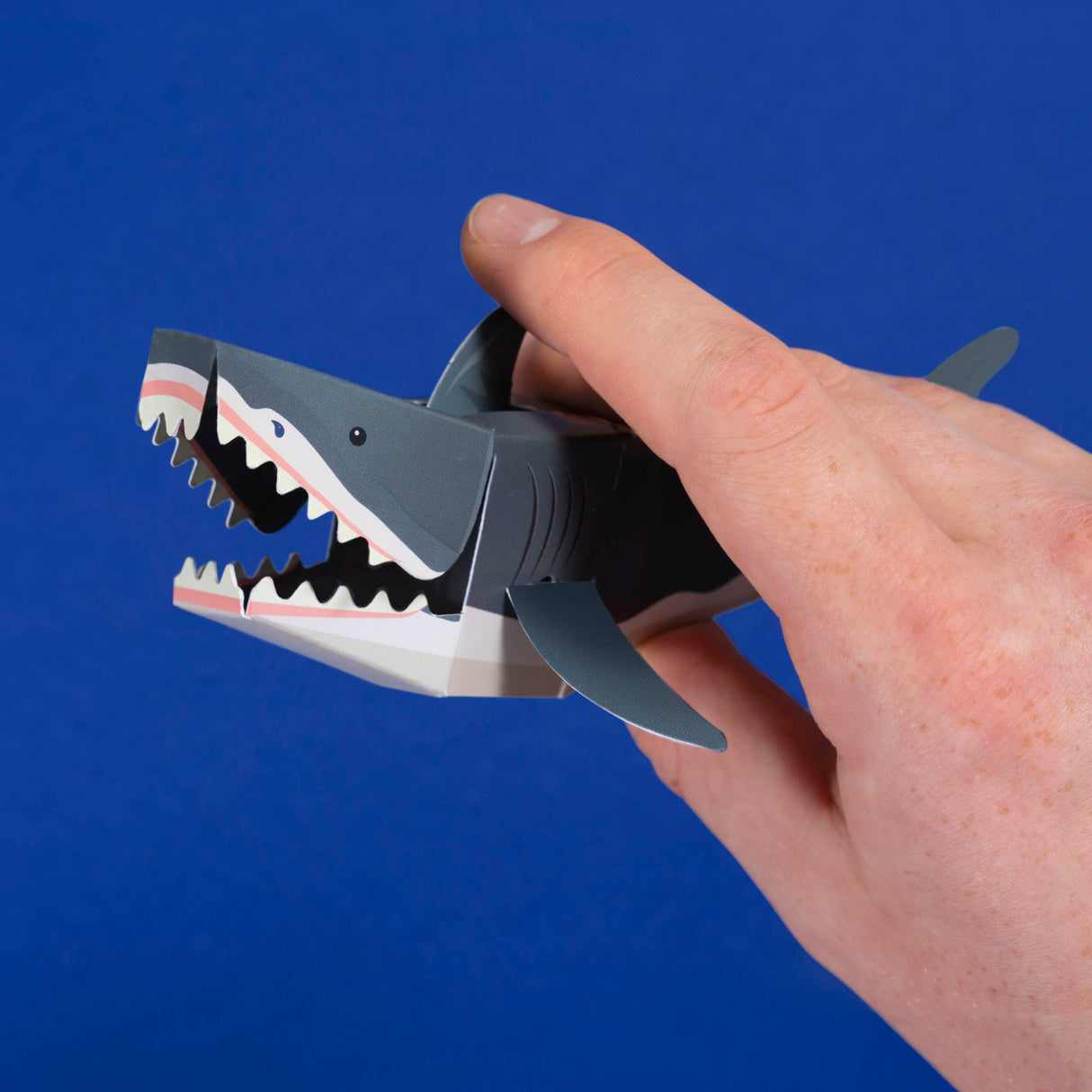 Chomping Shark Craft Kit