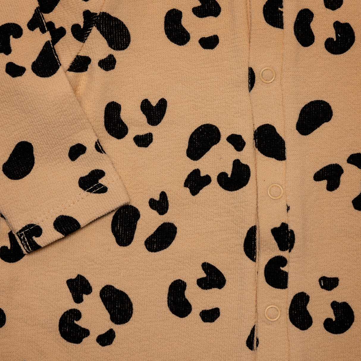 indie stories another fox jaguar shortie 2